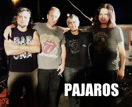 album35