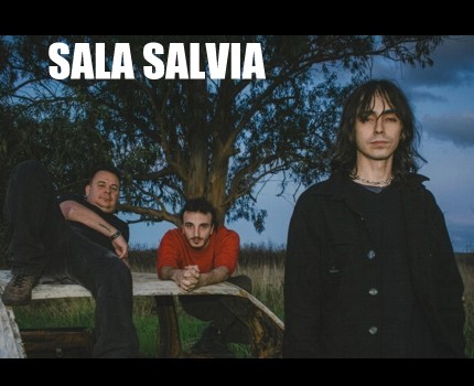 album44