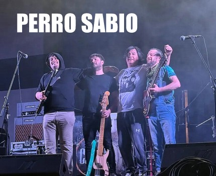 album66